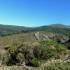 La Dehesa Bonita - Abedular de Somosierra; parque natural murcia hoces del duraton senderismo fmm ru